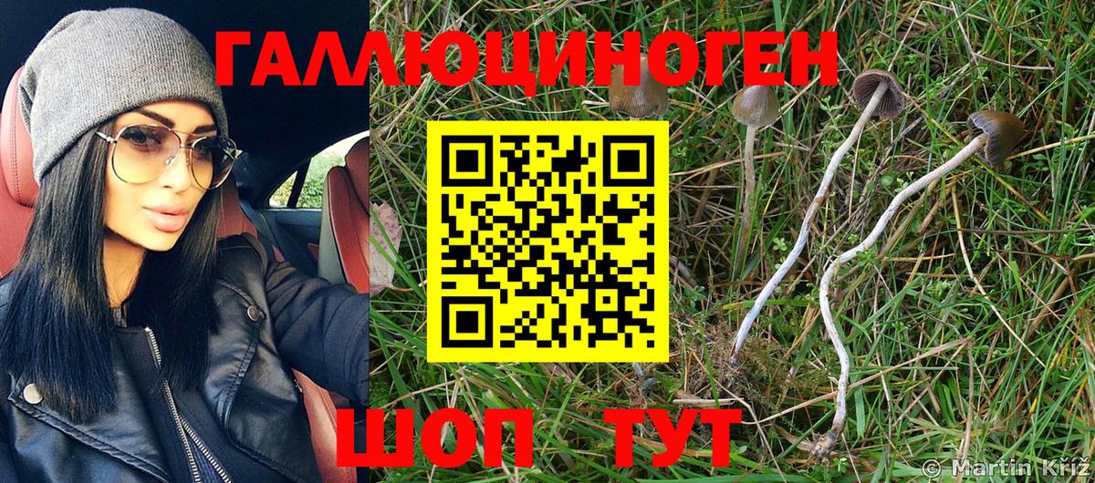 Галлюциногенные грибы Psilocybe  Вход с VPN  наркошоп  Михайловск 