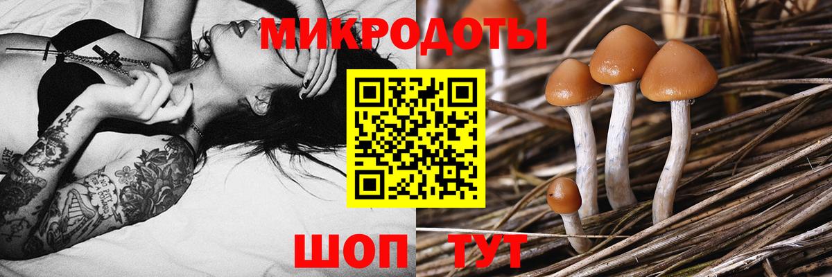 Конопля Михайловск